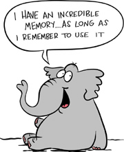 Elephant's memory