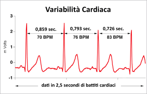 Esempio_variabilita_cardiaca_large